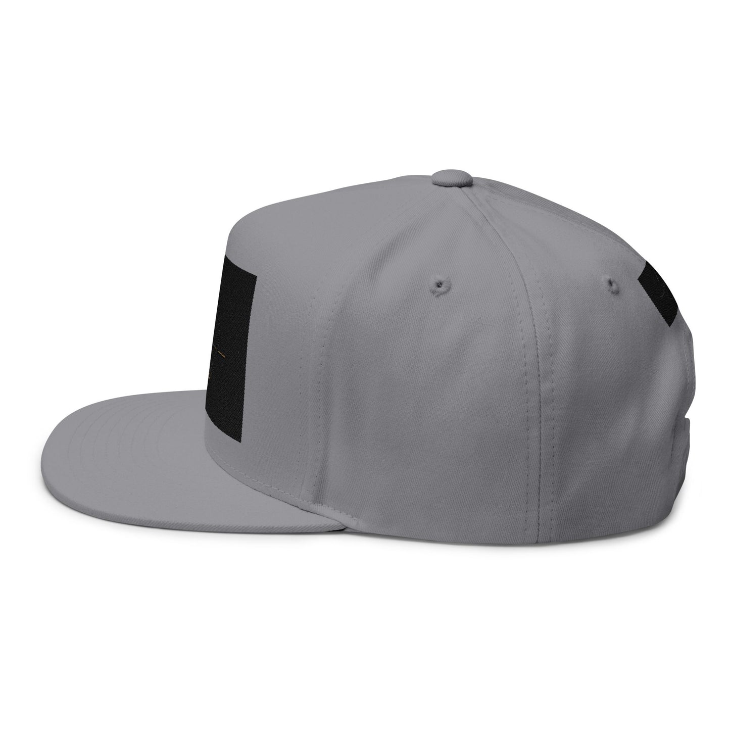 "Vibe with the Beat of Life" Embroidered Flat Bill - Hat